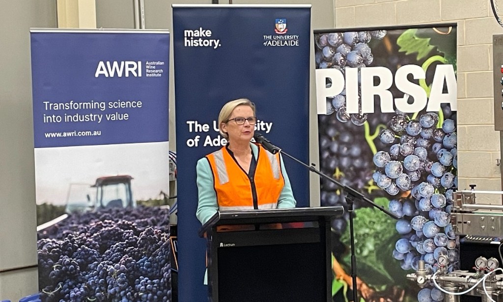 Thumbnail for No-alcohol wine lab launched in Adelaide