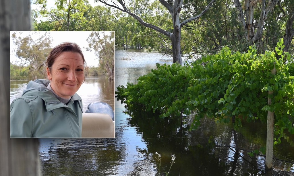 Thumbnail for Flood funding release ‘drop in the ocean’ for struggling river regions