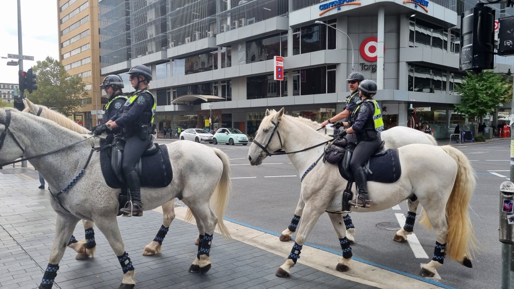 Photo: Thomas Kelsall/InDaily