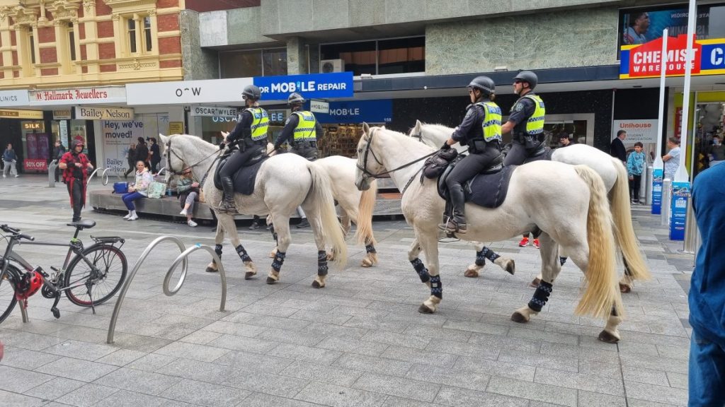 Thumbnail for ‘Obligation to Cabinet’: Police challenge barracks FOI order