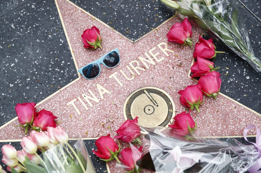 Thumbnail for Music world mourns Tina Turner