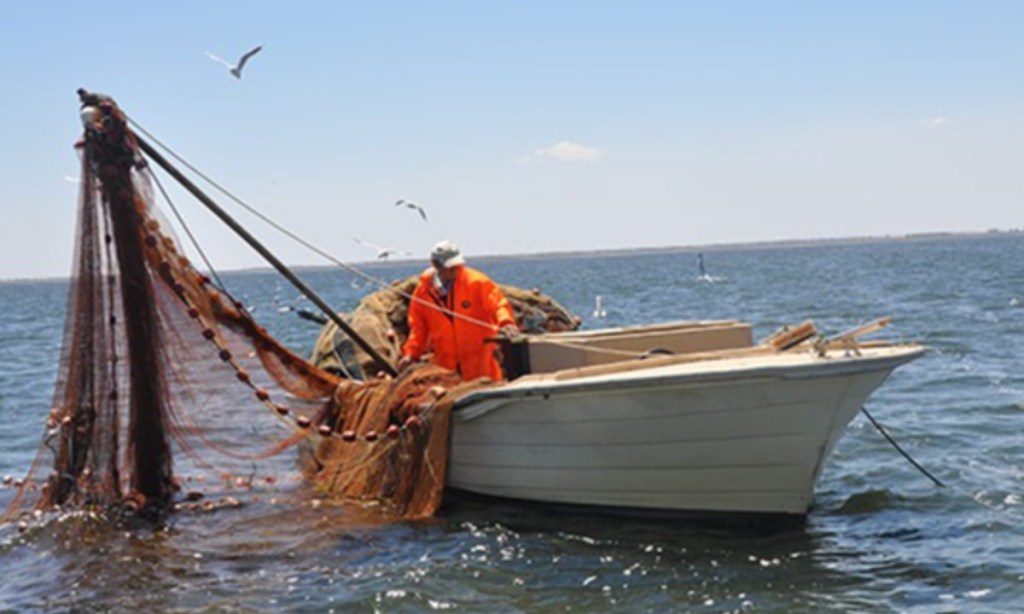 Thumbnail for Call for action to keep Coorong flush with fresh water