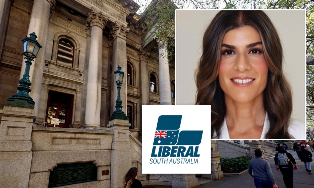 Thumbnail for Lib preselection frontrunner ridicules ‘niche culture wars’