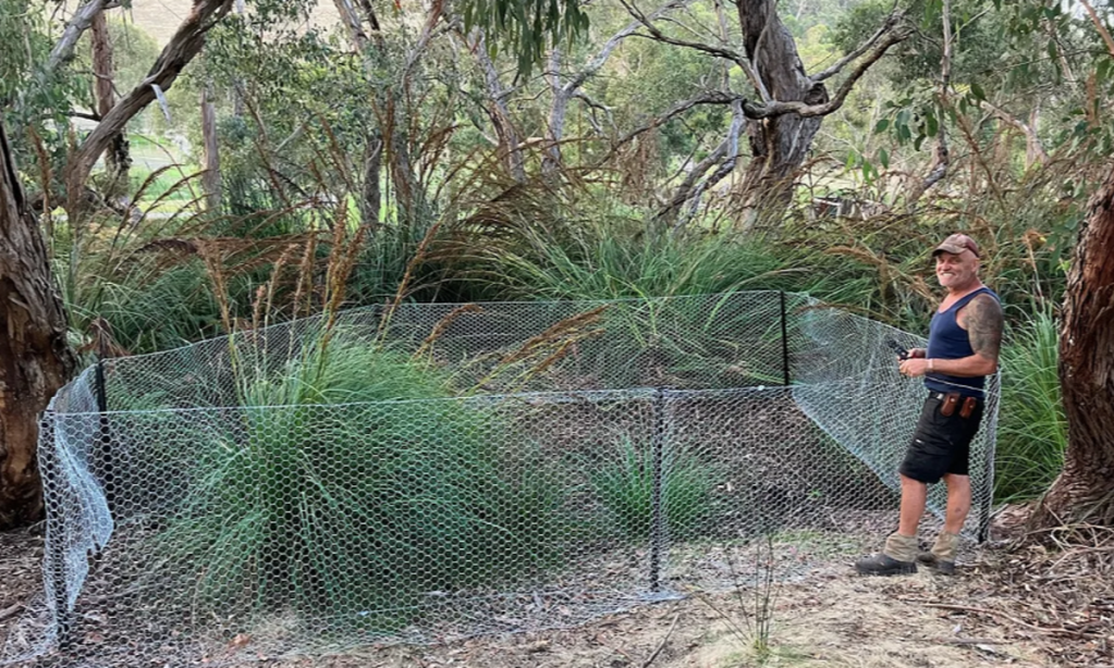 Thumbnail for Endangered fern survives against all odds in Mount Lofty Ranges