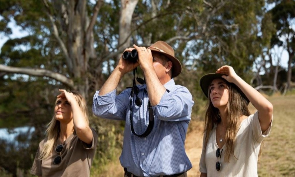 Thumbnail for Citizen science projects let tourists give back to nature