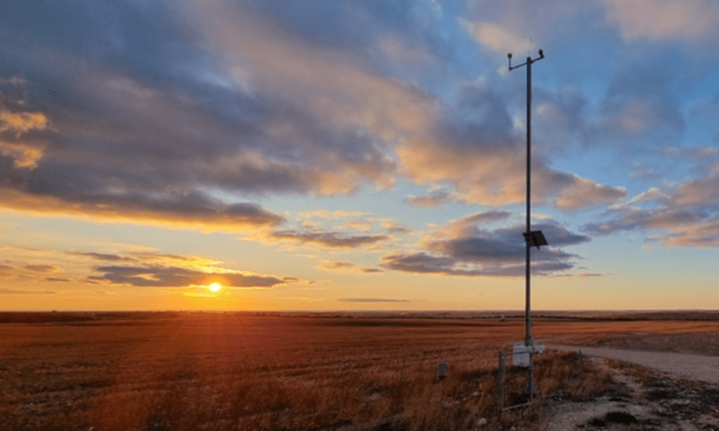Thumbnail for AI helps SA company relay safe spraying times to farmers