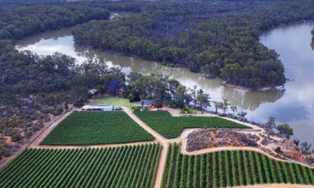 Photo: Riverland Wine.