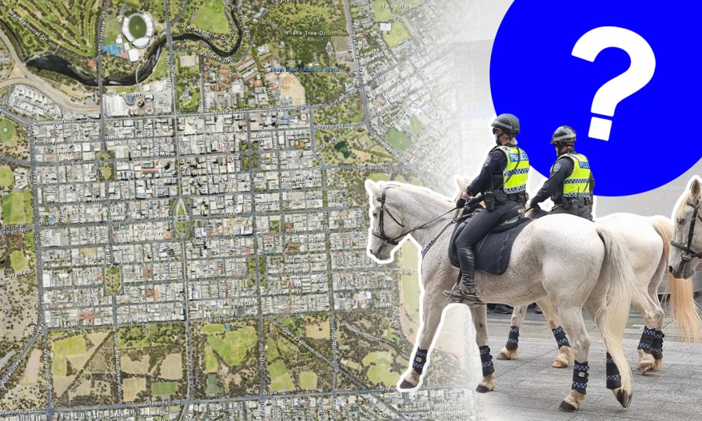 Thumbnail for Guessing game as police horse shift deadline looms
