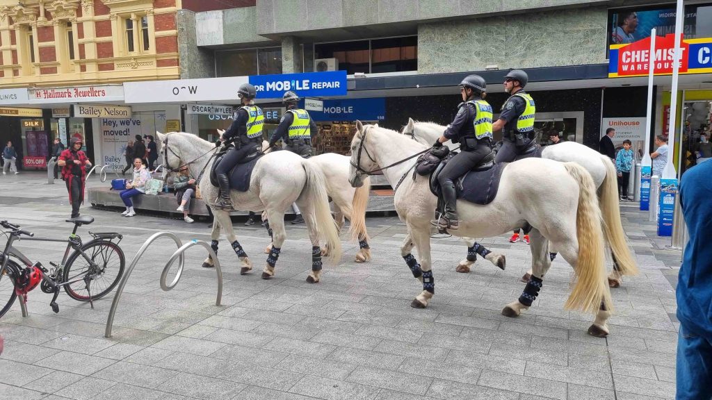 Thumbnail for Labor shifts the stable doors after the public revolted