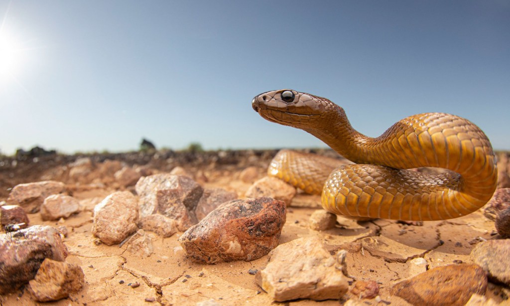 Thumbnail for Photo exhibition captures nature’s drama and beauty