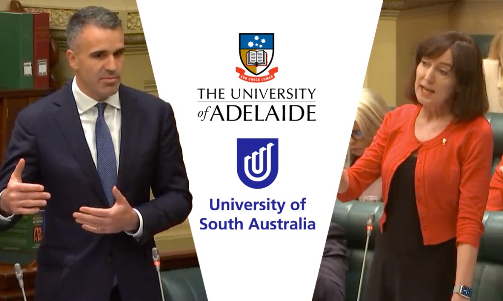 Thumbnail for ‘Important test’: Premier’s message to Upper House on uni merger vote