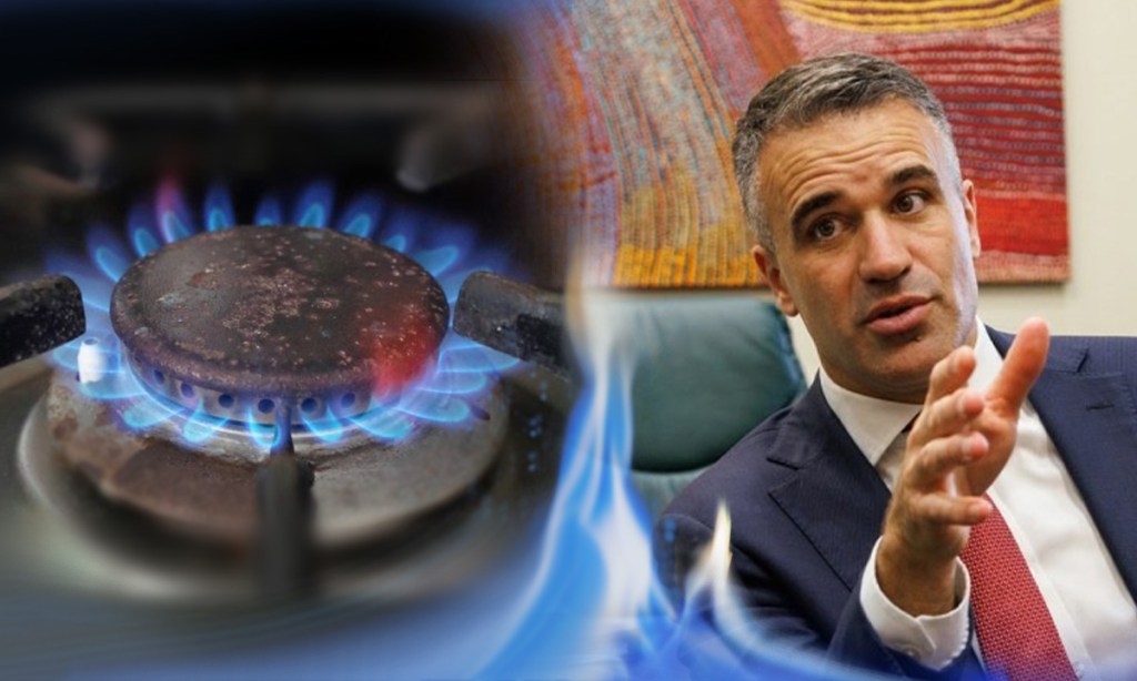 Thumbnail for Premier eyes hydrogen fix for home gas connections