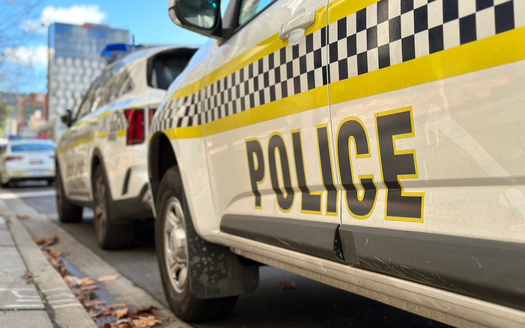 Thumbnail for Police hunt hit-run motorist