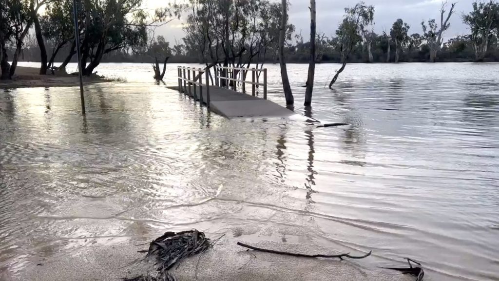Thumbnail for Winter rains see River Murray rise again