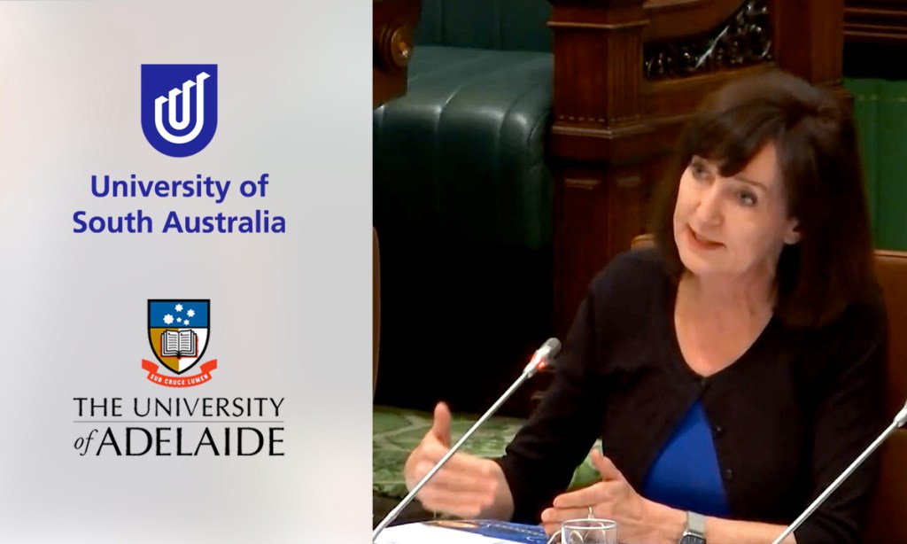 Thumbnail for ‘Legitimate questions’ over whether Govt saw full uni merger business case