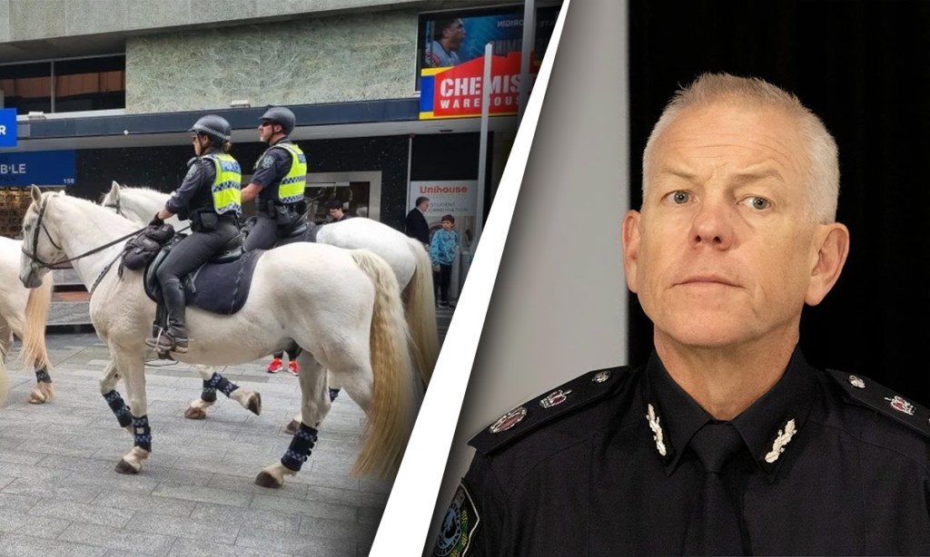 Thumbnail for ‘Not optimal’: Commissioner’s frustration over police horse relocation