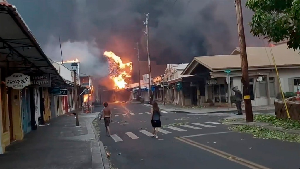 Thumbnail for Six dead in Hawaii wildfire as survivors flee into ocean