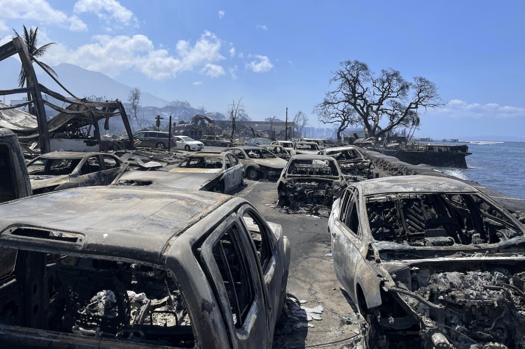 Thumbnail for Hawaii wildfire death toll rises