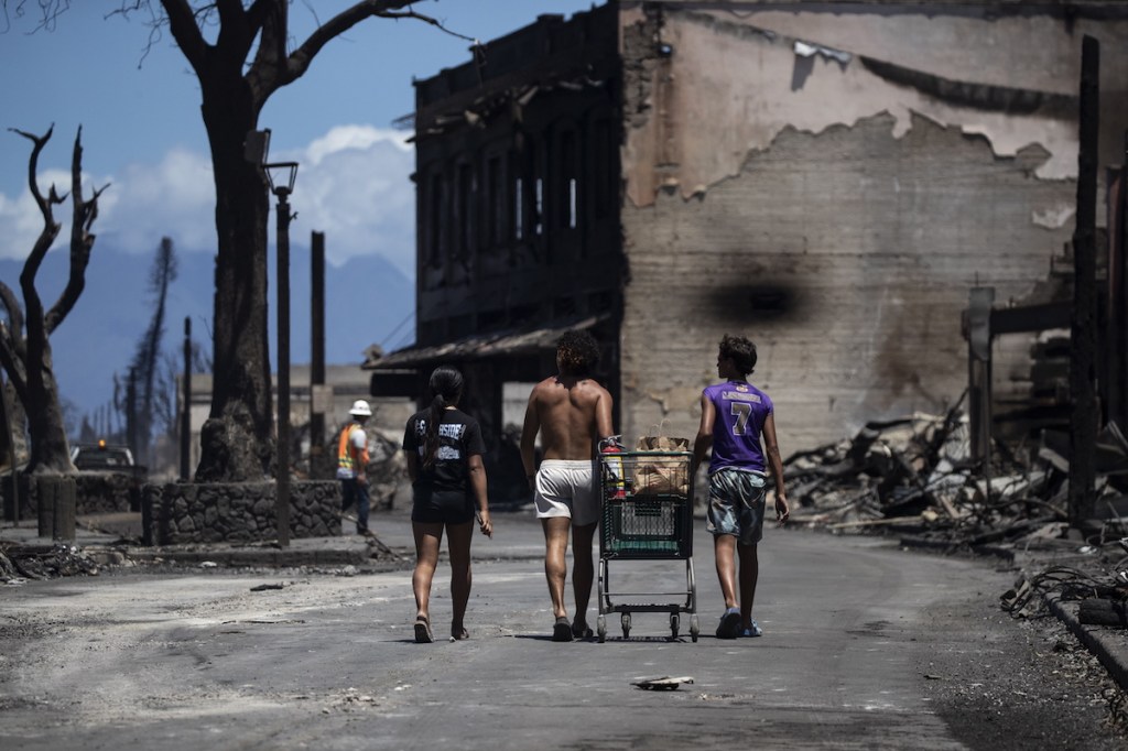 Thumbnail for Tourist plea as Hawaii wildfire deaths pass 90