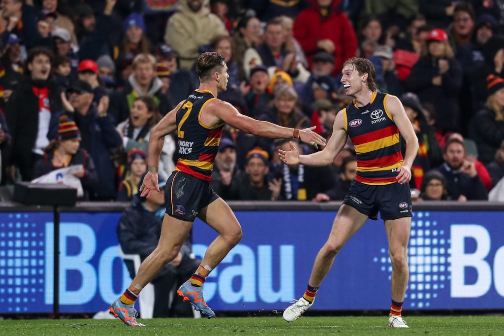 Thumbnail for Crows captain’s appeal over goal umpire error