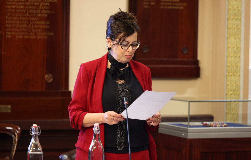 Central Ward councillor Carmel Noon called for more timely notification of city projects with state govenment involvement. Photo: Tony Lewis/InDaily