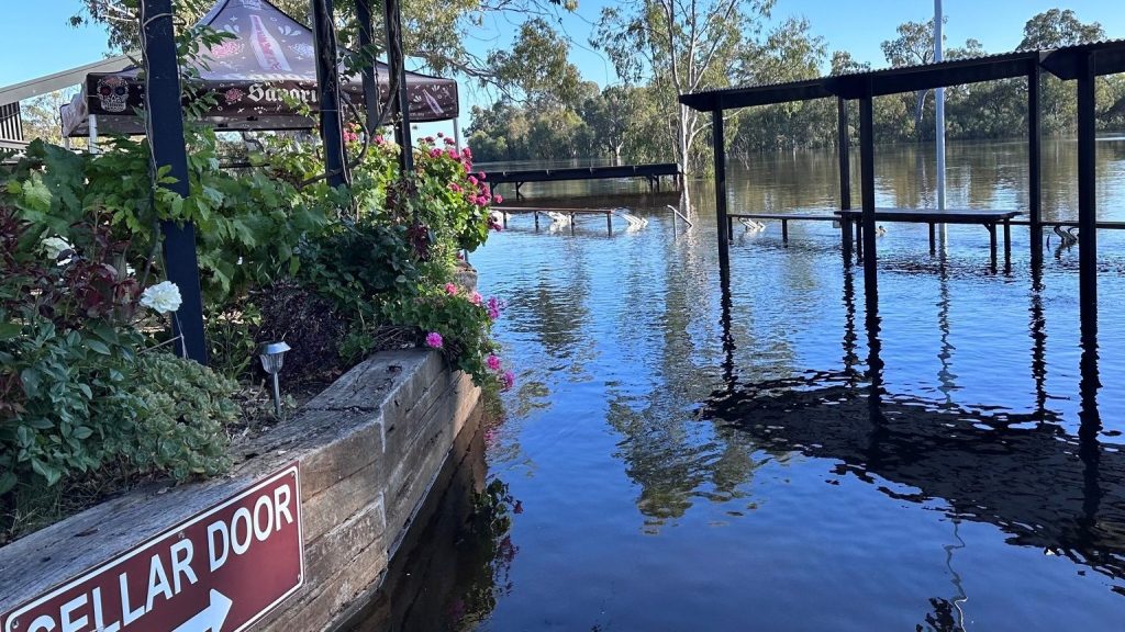 Thumbnail for Caudo Vineyard’s cellar door to stay shut after devastating flood