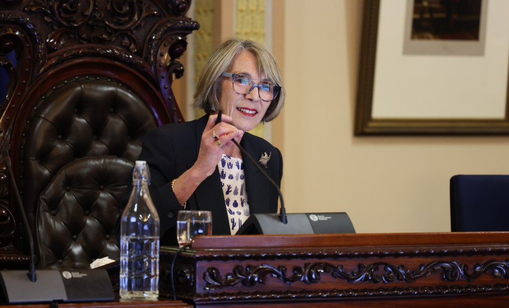 Lord Mayor Jane Lomax-Smith has been endorsed by her council chamber for the presidential bid. Photo: Tony Lewis/InDaily