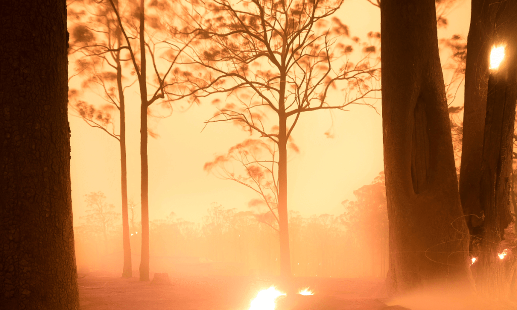 Thumbnail for Winning nature photograph shows landscape under fire