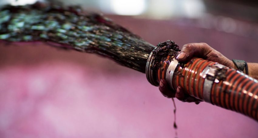 Thumbnail for Swimming in it: New report warns on oversupply in Australia’s wine industry