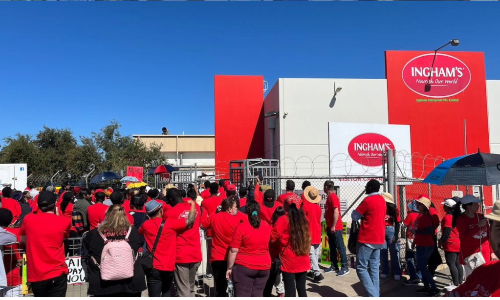Thumbnail for Chook strike ends with better pay deal on table