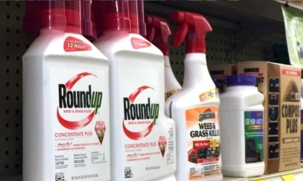 Thumbnail for Roundup cancer class action kicks off in court