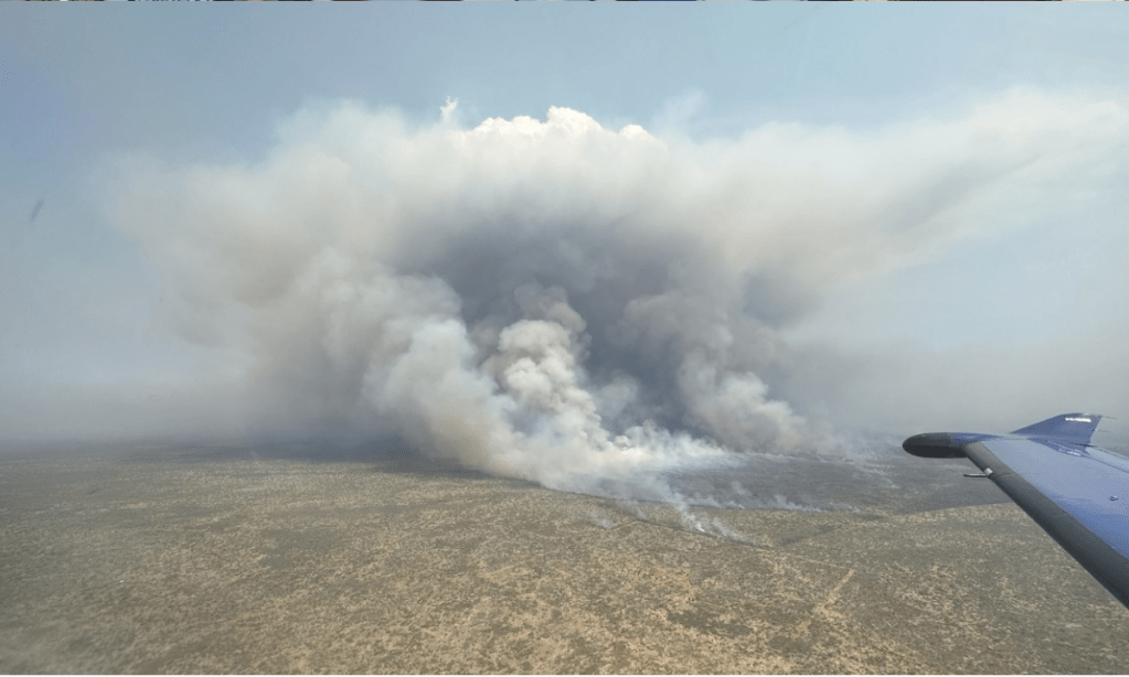 Thumbnail for CFS en route to huge Northern Territory bushfire