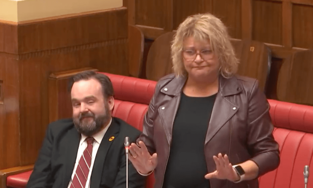 Irene Pnevmatikos speaking during her final speech in the Upper House on Thursday. Photo: parliament livestream