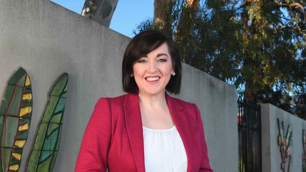 Select committee on access to urinary tract infection treatment chair Jayne Stinson. Photo: supplied