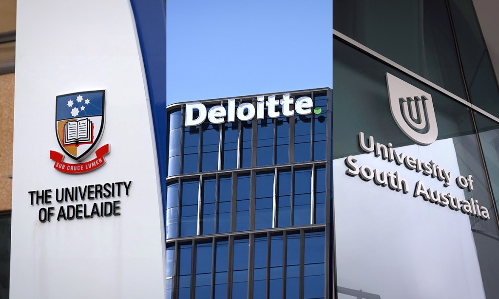 Thumbnail for Should Deloitte be involved in the SA university merger? Experts have their say