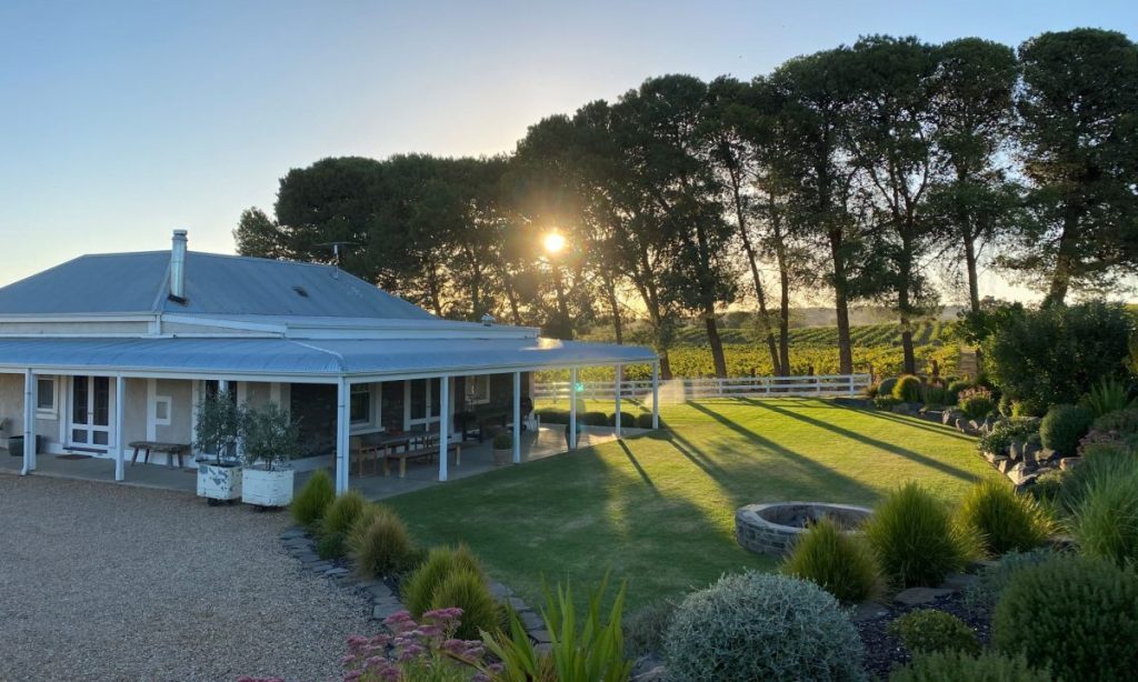Thumbnail for 7 award-winning SA wine experiences you must do