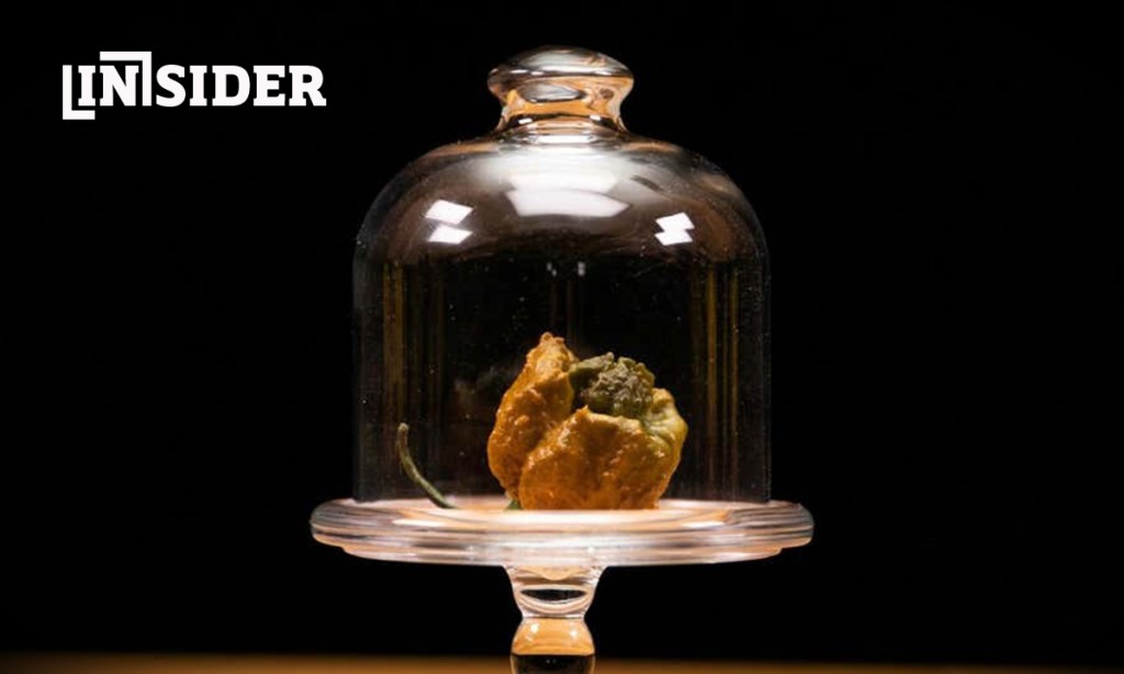 Thumbnail for Whine no more about Riverland drops | White hot chili peppers | Beach volleyball on way to Adelaide