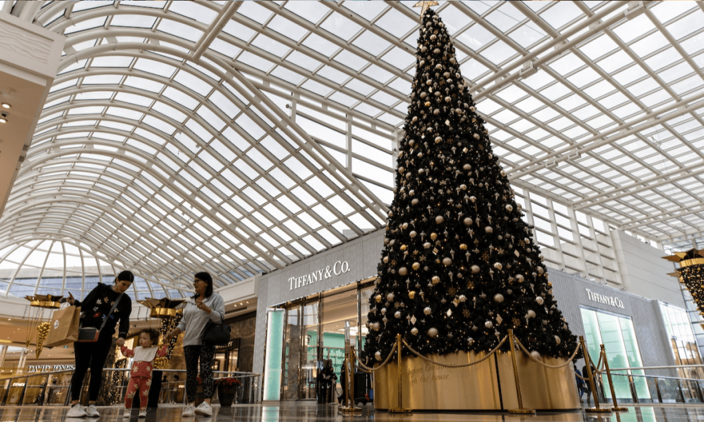 Thumbnail for Small businesses feel pinch ahead of Christmas