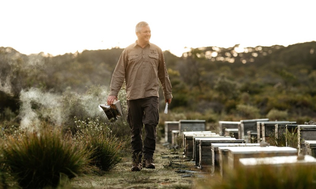 Thumbnail for Bees still feeling effects of bushfires on KI