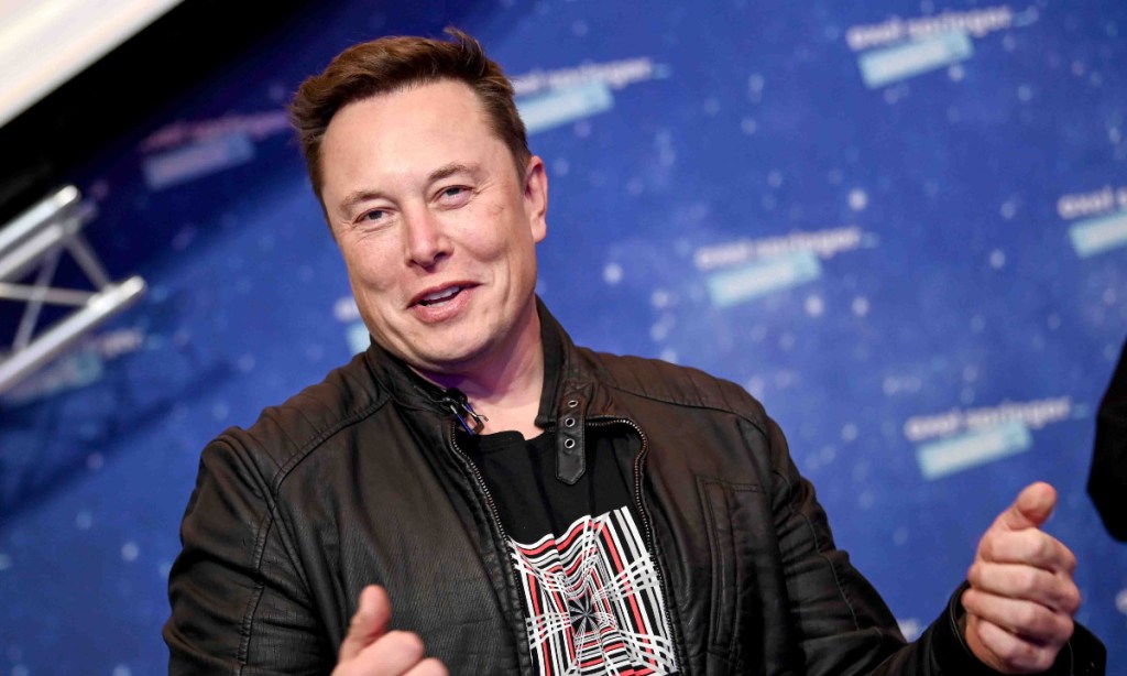 Elon Musk's purchase of Twitter is under scrutiny. Photo: Britta Pedersen/dpa-Zentralbild