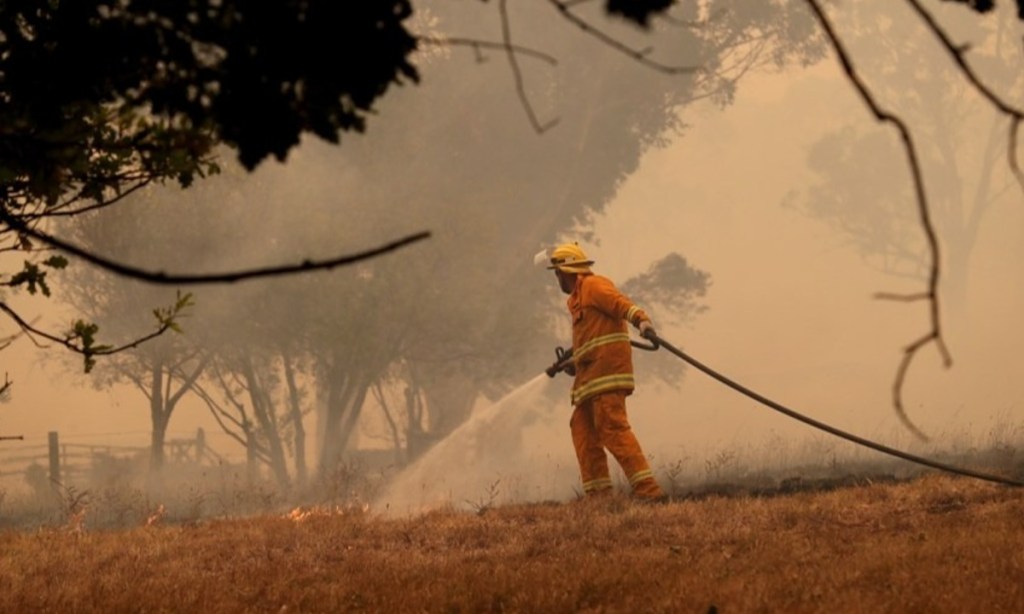 Thumbnail for SA prepares for ‘very substantial’ summer bushfire risk