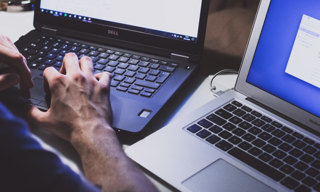 Photo: Freestocks on Unsplash. 