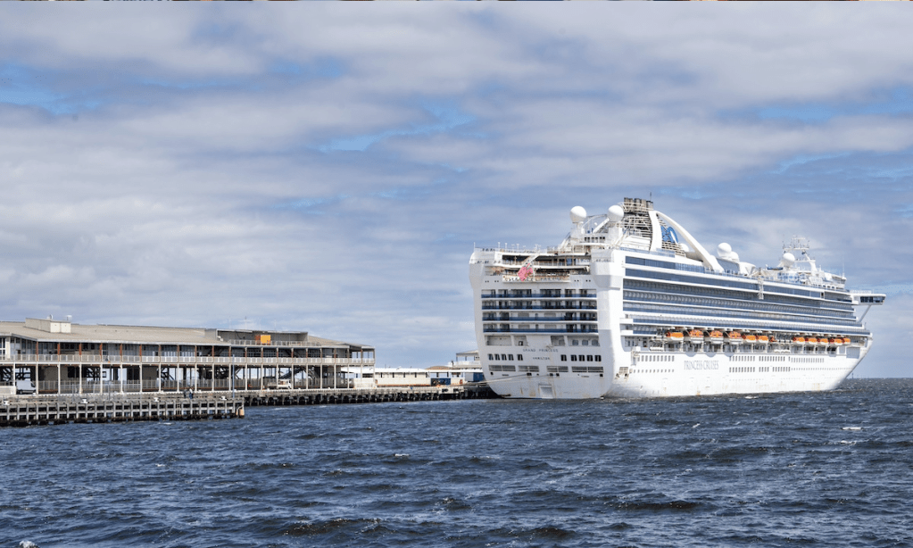 Thumbnail for Viral outbreaks aboard cruise ship in Adelaide ‘declared over’