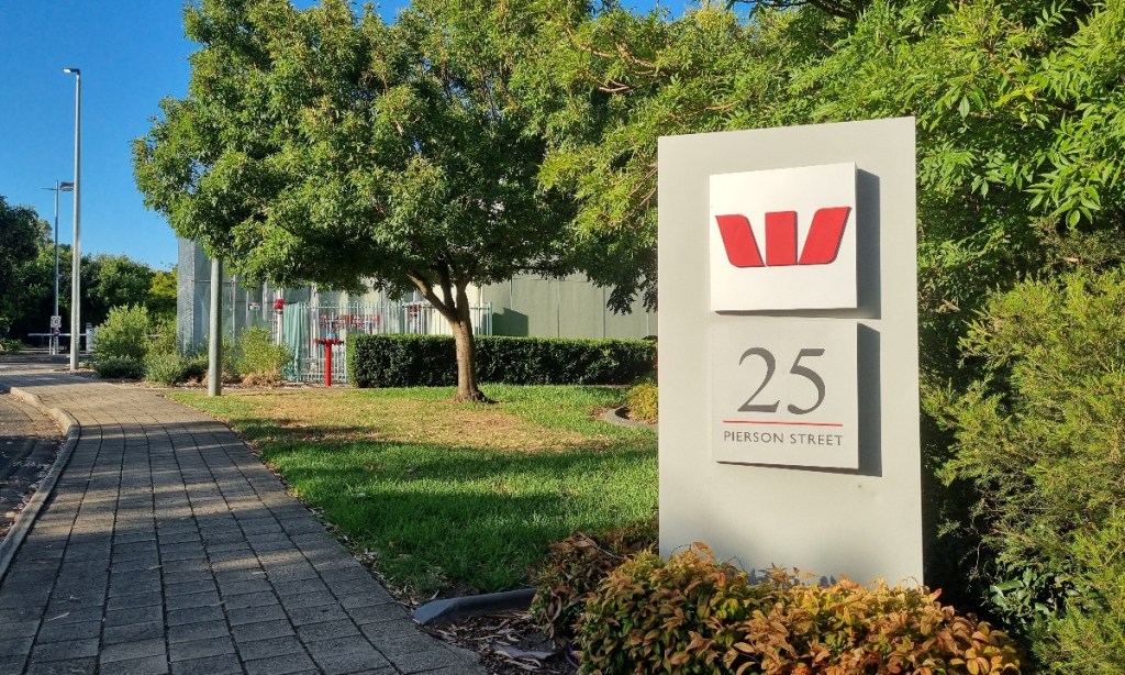 The site at 25 Pierson Street, Lockleys which is subject to a rezoning bid. Photo: InDaily