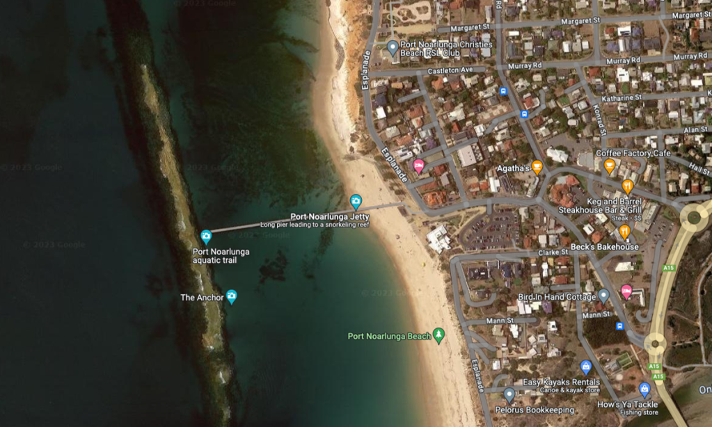 Thumbnail for Shark attacks woman at Port Noarlunga