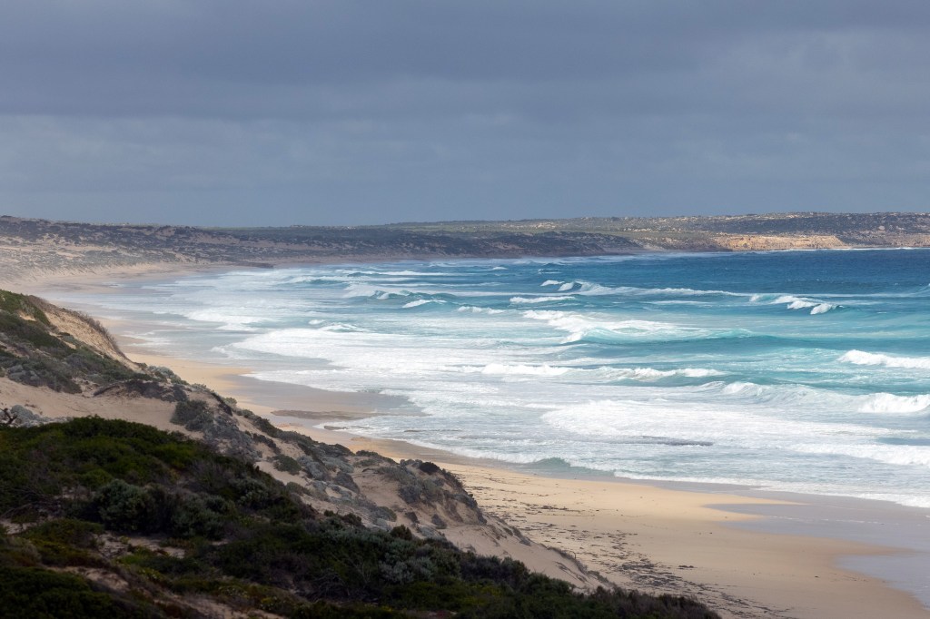 Thumbnail for Streaky Bay shark attack search