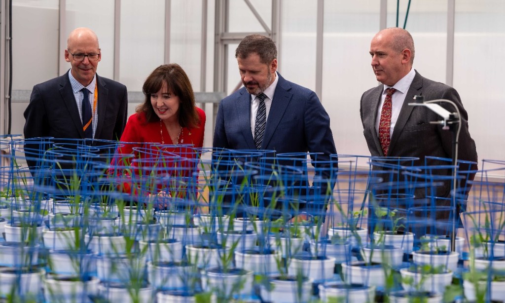 Thumbnail for Adelaide picked as epicentre in finding best crops to feed the world