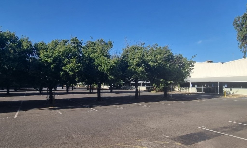 Developers want to rezone commercial land at Lockleys to build four-storey housing. Photo: Tony Lewis/InDaily