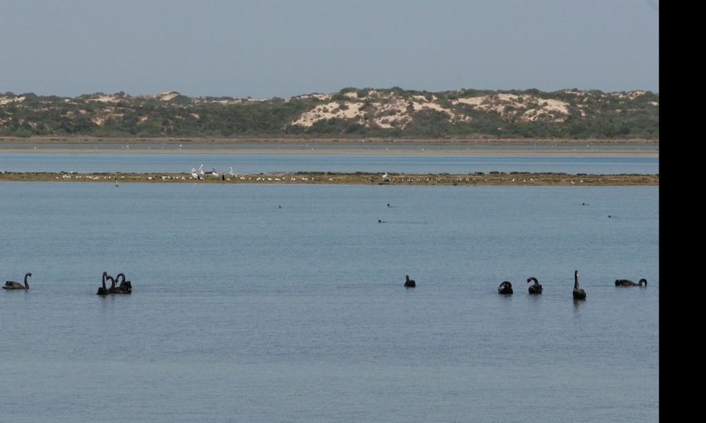 Thumbnail for Murray-Darling Basin deadline pushed back