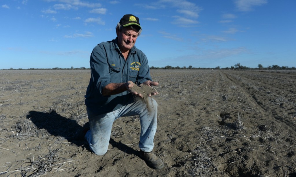 Thumbnail for Digging in to improve Australia’s poor soil health